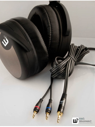 Наушники Brainwavz HM5